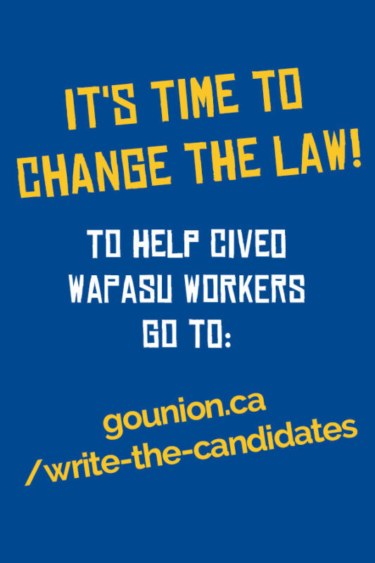 war at wapasu write your candidate