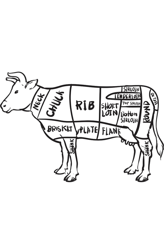 The parts of a cow
